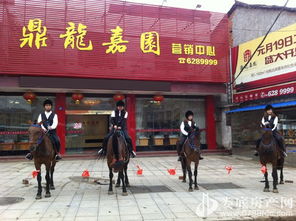 歡樂五一，來鼎龍嘉園免費騎馬玩！｜鼎龍木業邀您共度佳節