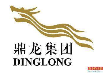 鼎龍集團 以 文旅 推動鄉村振興,開辟幫扶新模式
