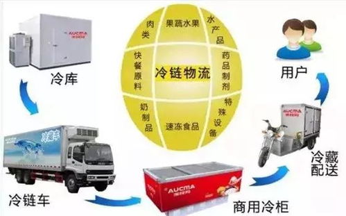 冷鏈物流 突破瓶頸、抓住機遇，推動普通貨運轉(zhuǎn)型升級